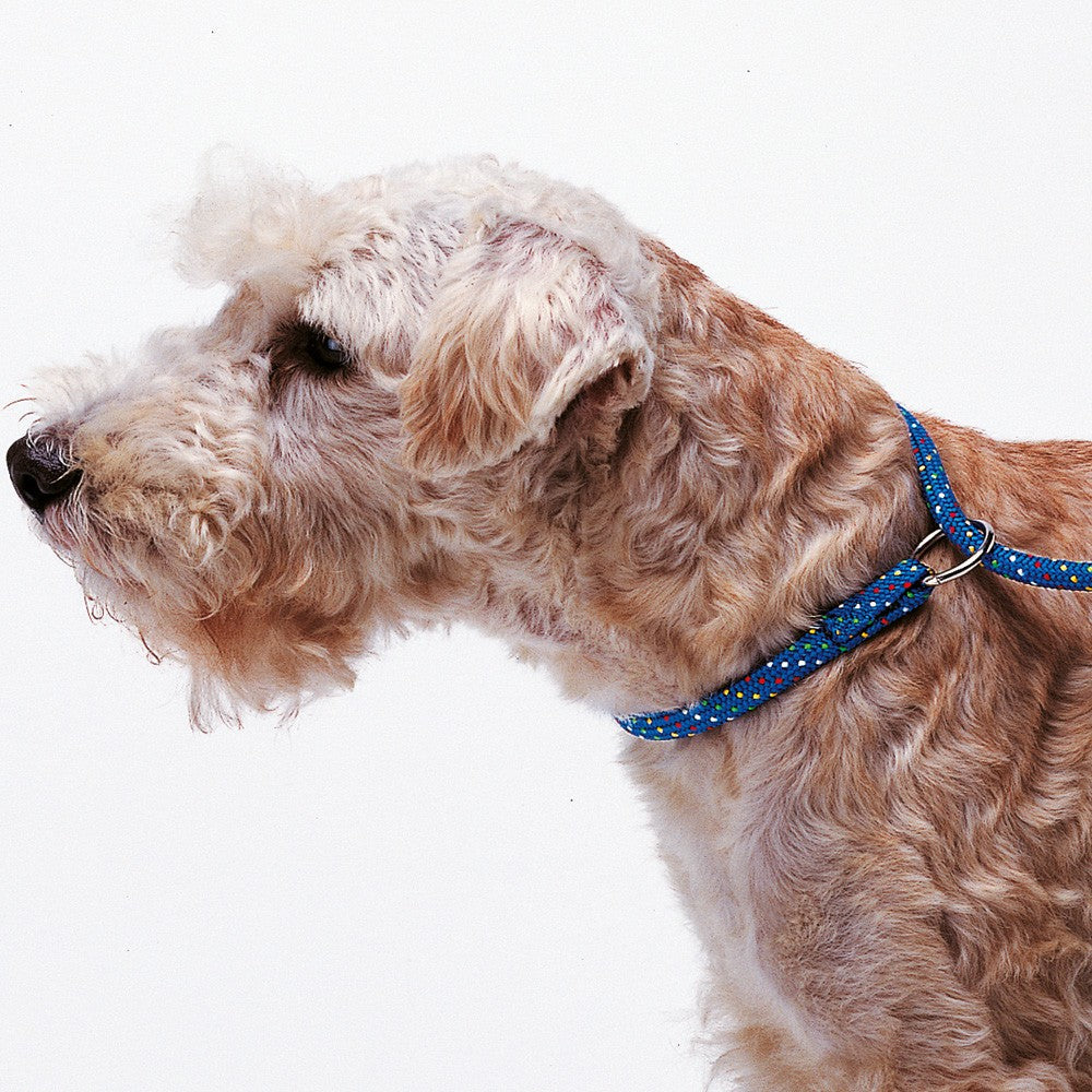 Ferplast Sport GC 13/170 Dog Lead With Collar