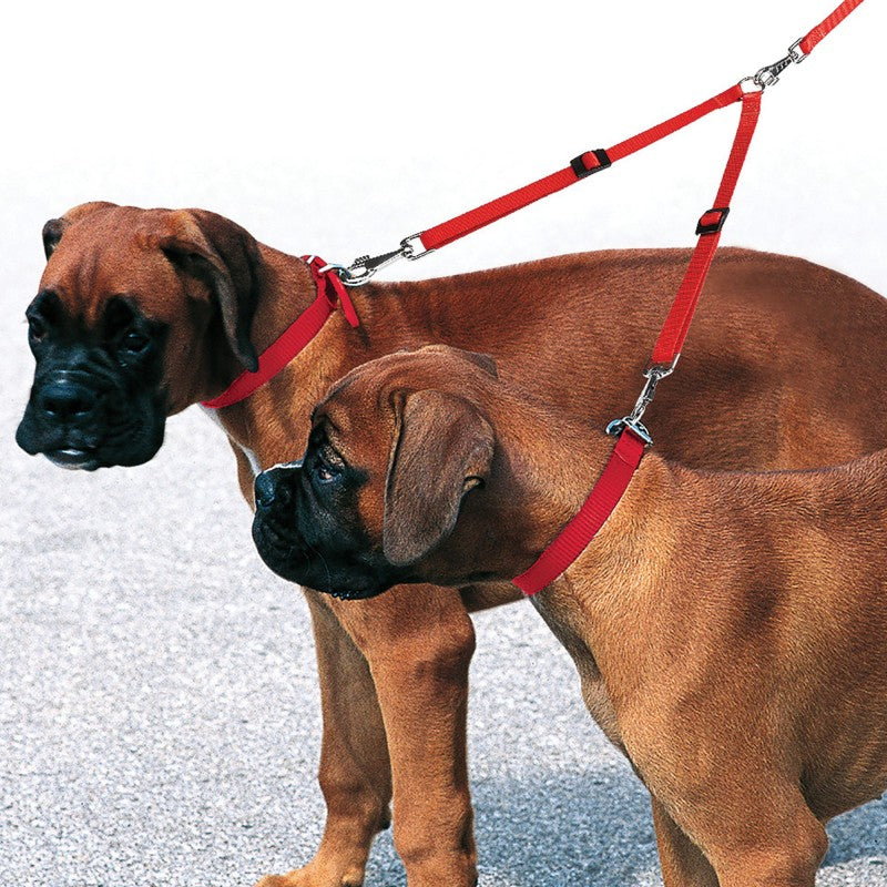Ferplast Twin 20/50 Dog Lead
