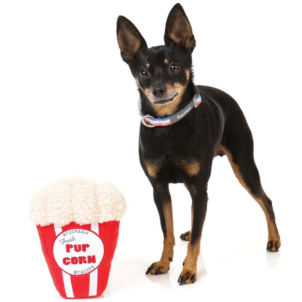 FuzzYard Pupcorn Plush Dog Toy