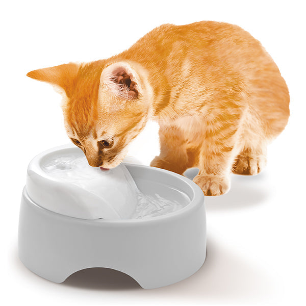 GEX Pure Crystal Clear Flow Drinking Fountain For Cats 950ml