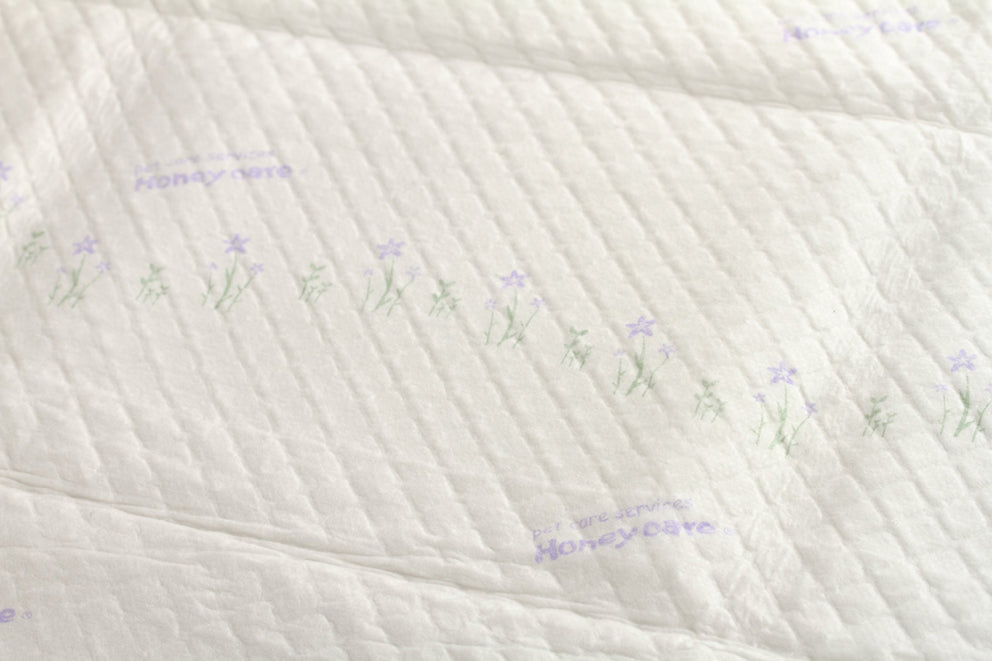 BUNDLE DEAL: Honey Care U-Play Lavender Pee Pad